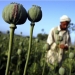 Afghan Heroin: The Lost War