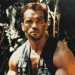 Image for Predator