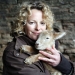 Image for Lambing Live