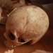 Cannibals of the Stone Age
