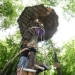 The Great Treehouse Challenge