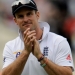Image for Cricket