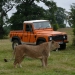 Image for Safari Park Adventure