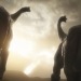 Image for Last Day of the Dinosaurs