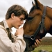 War Horse