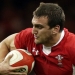 Six Nations Rugby Union
