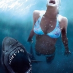 Image for the Film programme "Shark Night"