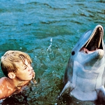 Image for the Film programme "Flipper"