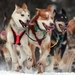 Image for Disney‘s Snow Dogs