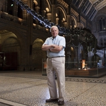 Image for the Nature programme "David Attenborough's Natural History History Museum Alive"