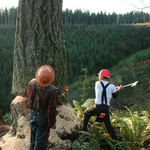 Image for the Documentary programme "Ax Men"