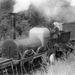Image for The Titfield Thunderbolt