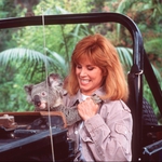 Image for Drama programme "Hart to Hart"