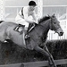 Arkle: The Legend Lives on
