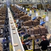 Amazon‘s Retail Revolution: Business Boomers