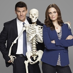 Image for the Drama programme "Bones"