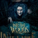 Image for Into the Woods: Stage to Screen