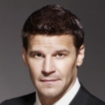 Image for David Boreanaz