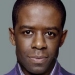 Image for Adrian Lester