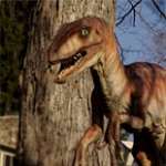 Image for episode "The Mystery of the Jurassic" from Scientific Documentary programme "Horizon"