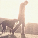 Image for the Film programme "Dog Years"