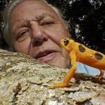 Image for episode "Land Invaders" from Nature programme "Life in Cold Blood"