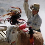 Image for the Documentary programme "A Year in Tibet"