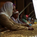 Image for the Business and Finance programme "Black Coffee"