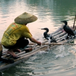 Image for the Documentary programme "Wild China"