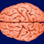 Image for the Documentary programme "My Strange Brain"