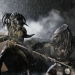 Image for Aliens vs. Predator: Requiem
