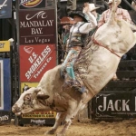 Image for the Sport programme "Pro Bull Riding 2009"