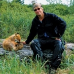 Image for the Documentary programme "Grizzly Man"