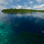 Image for Nature programme "South Pacific"