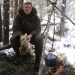 Image for Ray Mears‘ Northern Wilderness