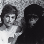 Image for the Film programme "Max Mon Amour"