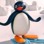 The Pingu Show : Childrens | What Happens Next On The Pingu Show with ...