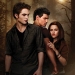 Image for The Twilight Saga: New Moon