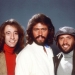 Image for Bee Gees: In Our Own Time