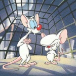Image for the Animation programme "Pinky and the Brain"