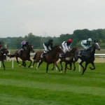 Image for the Sport programme "Racing from Epsom"