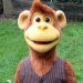 Image for Milkshake Monkey