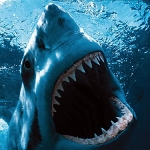 Image for the Film programme "Jaws 2"