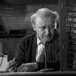 Image for the Film programme "The Pawnbroker"