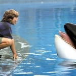 Image for the Film programme "Free Willy"