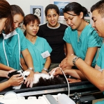 Image for the Nature programme "Emergency Vet School"