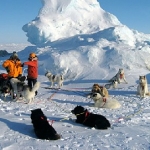 Image for episode "Polar Challenge Special" from Motoring programme "Top Gear"