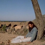Image for the Film programme "Movern Callar"