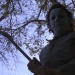 Image for Halloween VI: The Curse of Michael Myers