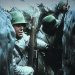 Image for World War II in Colour